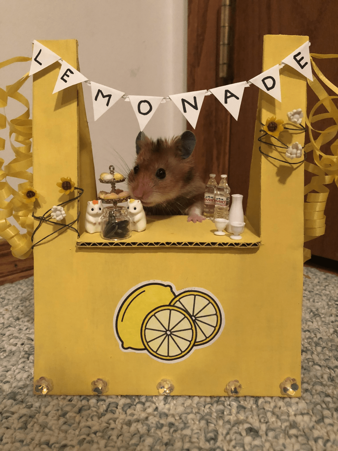 lemonade hamster